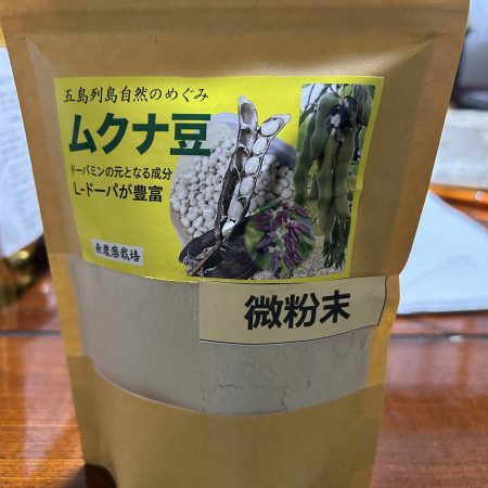 やる気と元気のムクナ豆微粉末100g