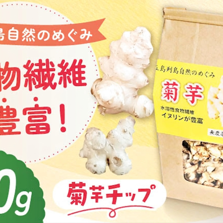 乾燥菊芋スライス 100g